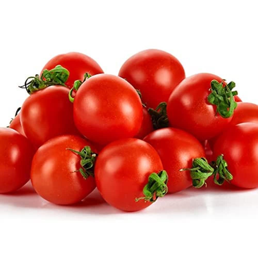 Tomato Plants, Tumbling Tom Red, 4 x Full Plug Plants Pack, Tomato Plants Ready to Plant Now, Tomatoes, Fresh and Sweet, Gardeners Favourite, Excellent Flavour, Garden Ready, Premium Quality Tomatoes