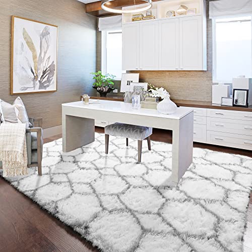 Bstluv Super Soft Fluffy Area Rug,5X8,Shag Rugs For Living Room,Bedroom, Kids,Girl Room,Dorm,Office,Home Decor,Nursery ,Shaggy Furry Carpet,White And Grey,Modern ,Plush #TOP5
