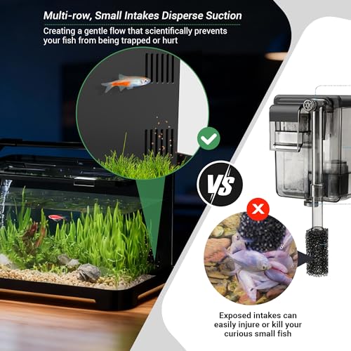 image for eWonLife 3.5 Gallon Aquarium Starter Kits, Betta Fish Tank with Heater