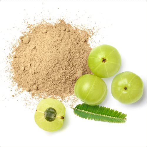 Organic Zing Amla Powder - Usda Certified, Indian Gooseberry For Drinking, Eating/Phyllanthus Emblica Inn/Product Of India - 227Gm Resalable Pack (Pack Of 1) #TOP1