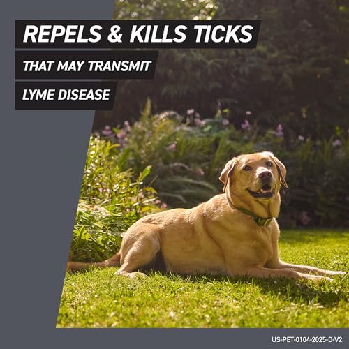 FRONTLINE Shield Flea & Tick Treatment for Large Dogs 41-80 lbs. Count of 3 - image 5