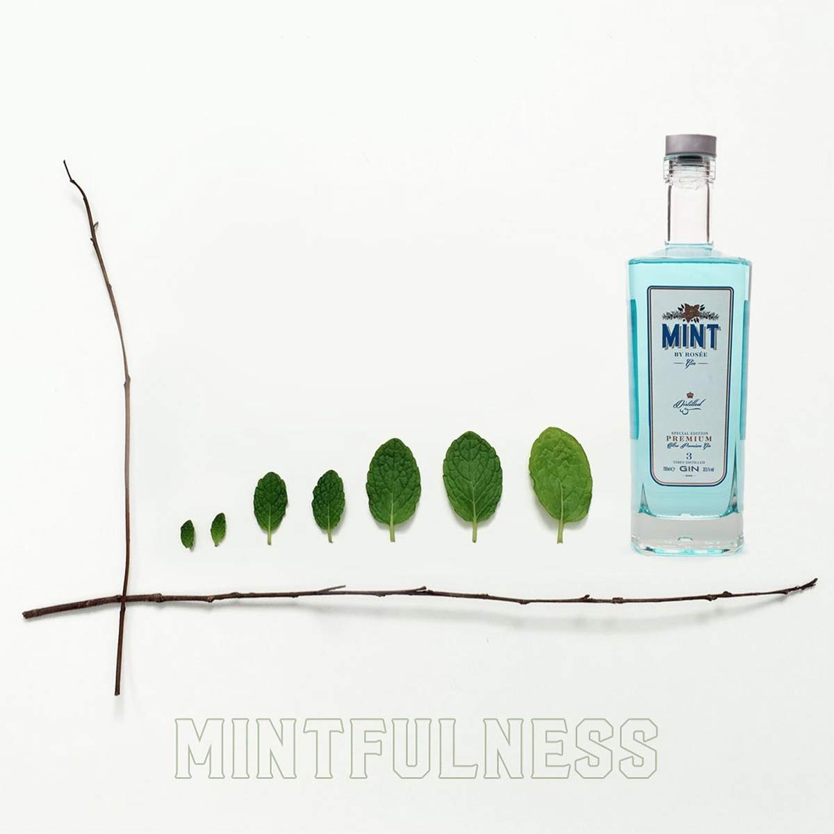 Mint By Rosée Gin - Paquete de 3 x 700 ml - Total: 2100 ml