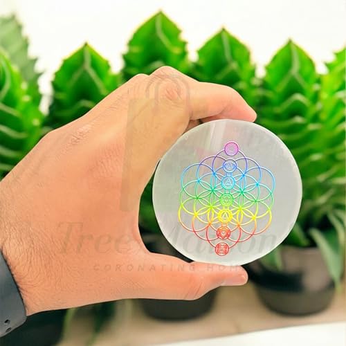 Plato de carga de cristal Selenita blanco 3 pulg miniatura 4