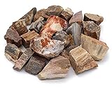 💎 VERSTEINERTES HOLZ; Er lehrt uns, geduldig mit uns selbst zu sein, während wir unsere eigene persönliche Entwicklung erleben. Die Meditation mit versteinertem Holz ist dafür bekannt, dass sie den Menschen hilft, sich mit ihrem Geist zu verbinden. Er fördert die Harmonie mit der Natur, weist darauf hin, sparend mit unseren Ressourcen umzugehen, unseren Planeten zu respektieren und in Harmonie mit allen fühlenden Wesen zu leben.