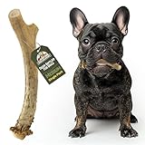 Heartland Deer Antlers for Dogs - Daily Dental Care Chews for Aggressive Chewers to Reduce Plaque & Prevent Destructive Behavior (Splinter Free, Medium, 5–6", 1-Pack, Grade A, USA Made)