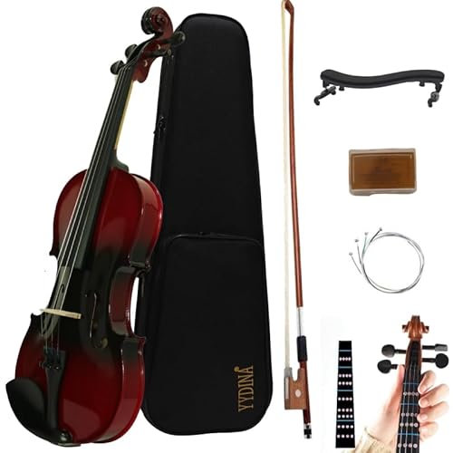 Yydina YY-100 Violin4/4 Full Set For Beginners cover