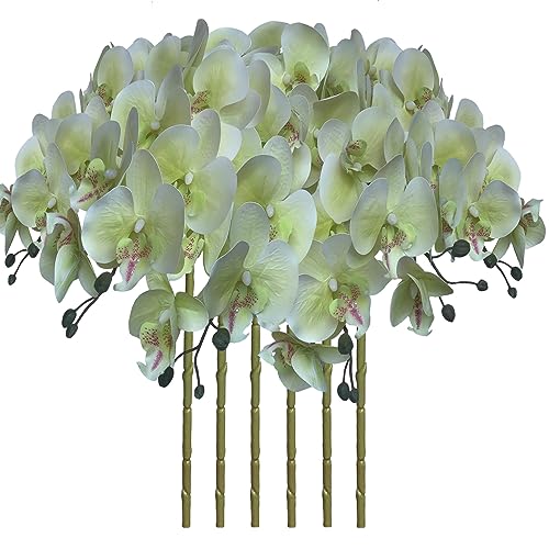 FagusHome 6 Stück Künstliche Phalaenopsis Blumen Weiß 80cm Künstliche Orchideenblumen Stammpflanzen für Wohnkultur (Hellgrün)