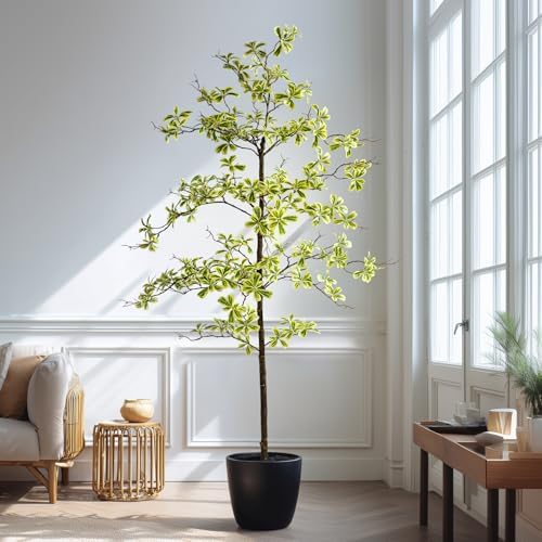 Faux Black Olive Tree 6ft, Faux Plants Indoor Large Tall Tree Artificial Shady Lady Tree with Natural Wood Trunk & Realistic Leaves, Fake Olive Plant for Home Office Indoor Decor