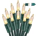 BrizLabs Clear Christmas Lights Outdoor 300 Count 69.6ft Incandescent Christmas Lights Connectable Warm White String Lights UL Certified Xmas Mini Lights Green Wire for Indoor Tree Holiday Party Decor