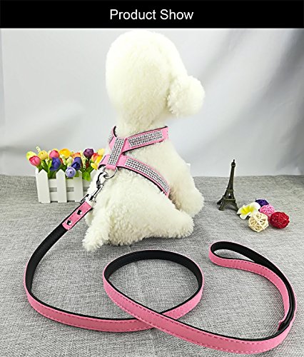 Newtensina Mode Hunde Geschirr mit Diamantes und Leinen Nettes Mädchen Bling Kleines Geschirr mit Leine für Hunde