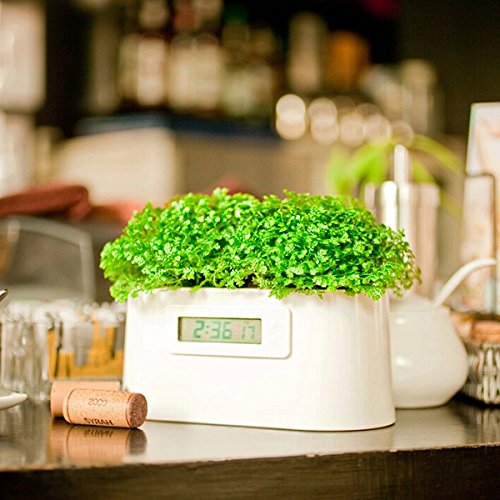 EgBert Mini Power Station Creative Diy Plant Digital Clock Desktop Potting