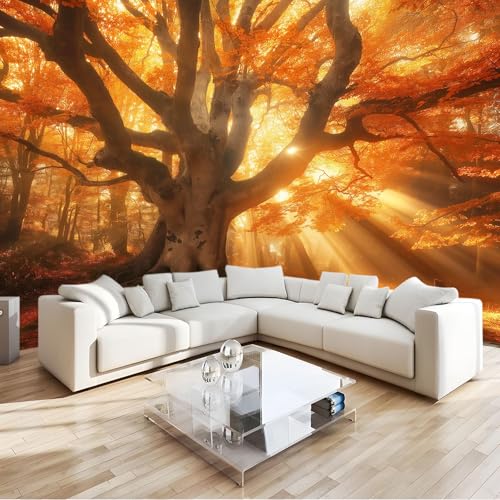 Papier peint 3D forêt d'automne orange 250x175 cm pour un salon chaleureux