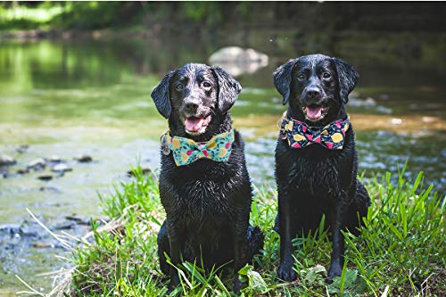 DOGWONG Hundehalsband mit Fliege, Sommergrüne Zitrone Haustierhalsband Hundefliege Geschenk für Mädchen oder Jungen Hunde, Bequeme verstellbares Hundehalsband für kleine mittelgroße Hunde