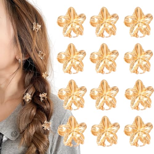 13 S[h t[ oXNbv Zbg p & ̎qp ~j X[ ^ wA N[ S[h wAANZT[