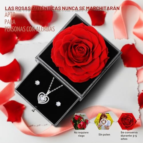 Miniatura 4 de Yamonic Rosa Eterna Regalos Originales Para Mujer,Rosa Eterna Natural Preservada Con Collar Y Pendientes De Plata De Ley 925,Flore Preservada Regalo Navidad San Valentin Dia De La Madre Cumpleaños