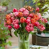 Zoom IMG-2 bulbi fiori perenni da esterno