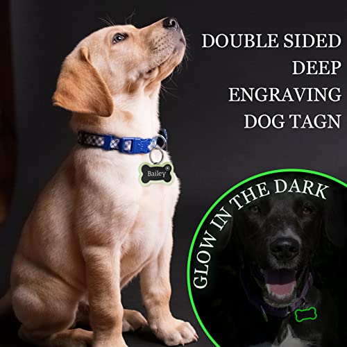 Navcooter Personalised Pet Id Tag, Dog Tag Silencer, Stainless Steel Bone Shape Id Tag, Silicone Rubber Id Tag Protector, Tag Edge Bumper Prevents Noise & Scratching(Small Green Glow) #TOP5