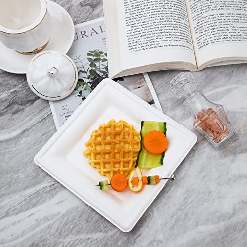 Hioasis 200Pcs Compostable Disposable Paper Plates, 6Inch Square Paper Dessert Plates Heavy Duty, Biodegradable Disposable Paper Plates, Eco Friendly Disposable Plates, Perfect For Picnic, Party #TOP4