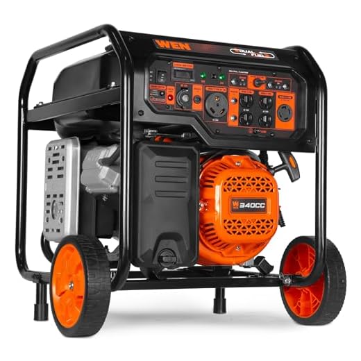 WEN DF8000X 8000-Watt Dual Fuel Electric Start Generator with CO Watchdog