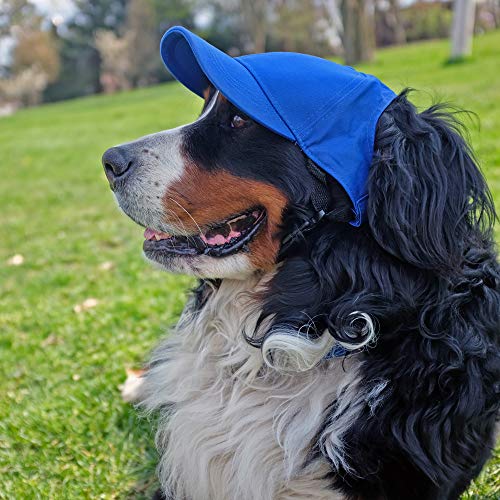 Gorra Baseball NHL para Mascotas Unisex miniatura 3