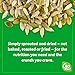 Go Raw Organic Sprouted Pumpkin Seeds, 1 oz, 12 Pack, Sea Salted, Keto, Kosher, Superfood