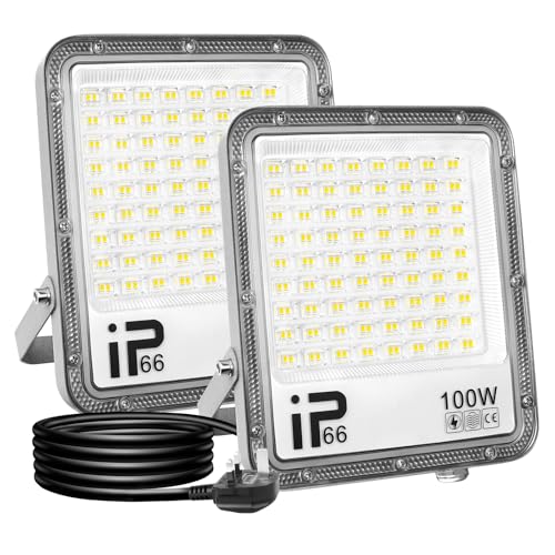 RIGIDON 2 Pcs Outdoor Flood LED Work Light, 100W 10000 LM Floodlight