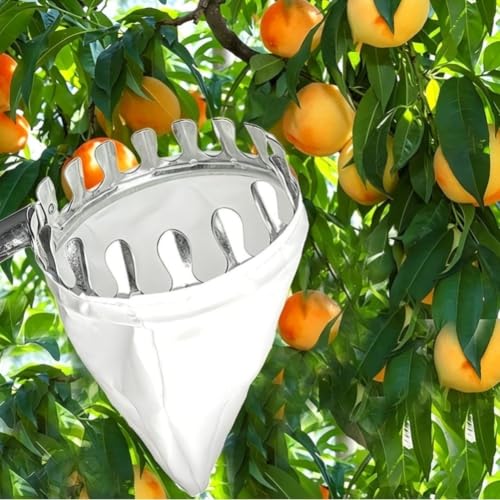 Recogedor de frutas con mango extensible ligero de acero inoxidable 2,8m 3