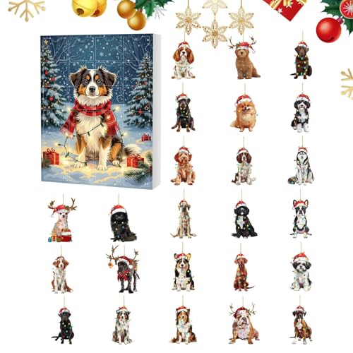 NX}X J_[ JEg_E, 2D AN L[z_[ y_g | 24 zf[ J_[ - Ӎ l q G߂ nEB C[X^[ zf[ eB[ 