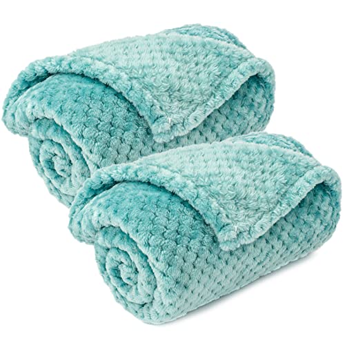 Image of Pet Blanket for Dogs or Cats - Warm Soft Fuzzy Plush Fleece Throw for Puppy, Kitten, Small, Medium, Large Pets - Bed, Couch, Sofa, Travel (S /24 inch x 32 inch, Robin Blue)