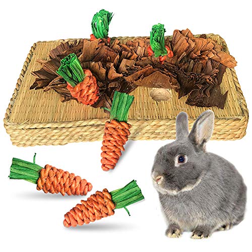 Hop into Fun Top 10 Products for Your Playful Bunny Furry Folly