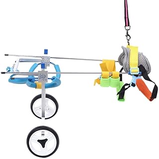 Silla de Ruedas Ajustable para Perros, aleación de Aluminio Doble Rueda Silla de Ruedas para Mascotas discapacitados Paseo asistido por Perros rehabilitación de piernas traseras para Perros(XS Widen)