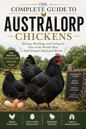 The Complete Guide to Australorp Chickens Raising, Breeding, and Caring for One of the World’s Best Dual-Purpose Backyard Breeds