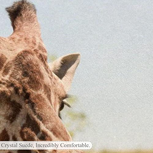 Rugs Machine Washable Area Rug With Non Slip Backing For Living Room, Bedroom, Bathroom, Kitchen, Printed Home Decor, Floor Decoration Carpet Mat, Prairie Animal Giraffe #TOP2