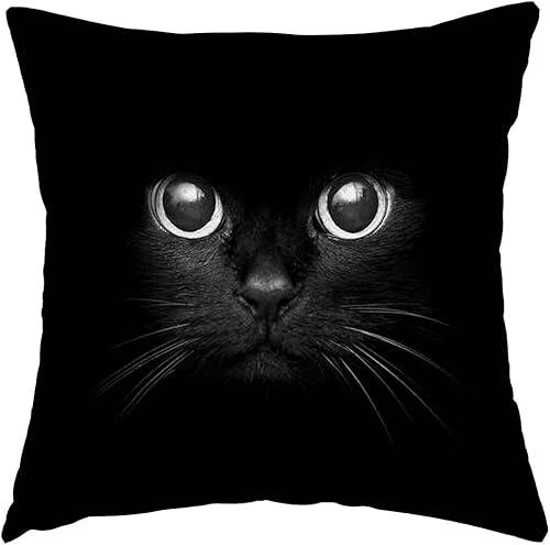 Swono You Asleep Yet - Funda de almohada de gato de 16 x 16 pulgadas, funda de almohada decorativa para sofá, funda de cojĂn de lino de algodĂłn para Swono You Asleep Yet - Funda de almohada de gato de 16 x 16 pulgadas, funda de almohada decorativa para sofá, funda de cojĂn de lino de algodĂłn para