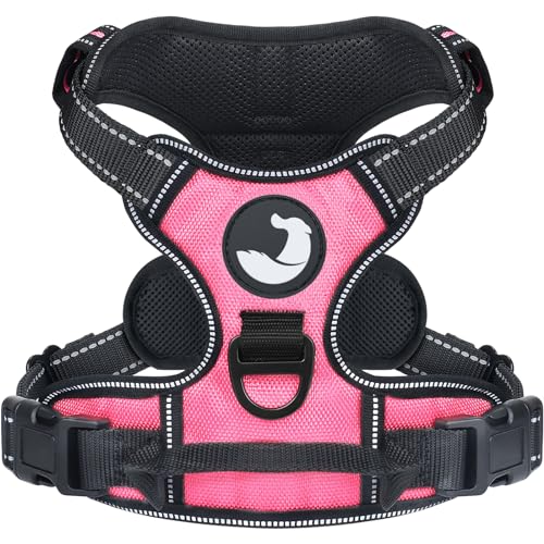 Joytale Dog Harness Small Dog No Pull Harness for Dogs with 2 Clips