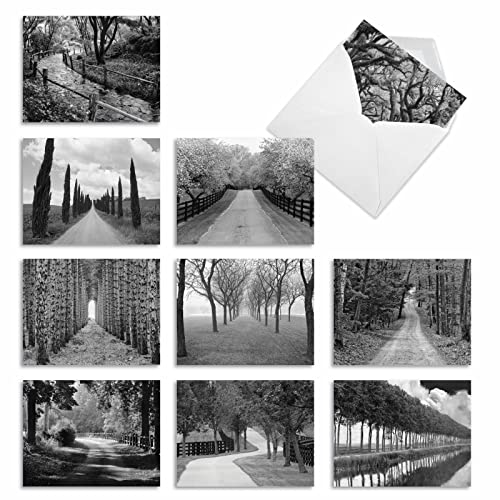 The Best Card Company - Box of 10 All Occasion Cards Blank (4 x 5.12 Inch) - Scenic Landscape Cards Assorted - Tree Lines M3313-NB