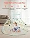 VEVOR Climbing Dome, 6FT Geometric Dome Climber for Kids, 600LBS Loading Indoor/Outdoor Jungle Gym Playground, Easy-Assembly Backyard Climbing Play Equipment for Boys Girls 3 to 10 Years Old