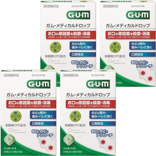GUM(K) yw򕔊Oiz KEfBJhbv CPCz [S VK[X] Êǂ̎EہE L ̂ǂ̍rEɂ݁En gїp Oop ̂ǈ 24×4pbN