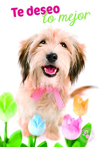 Grupo Erik Editores - Biglietto di auguri, 11 cm x...