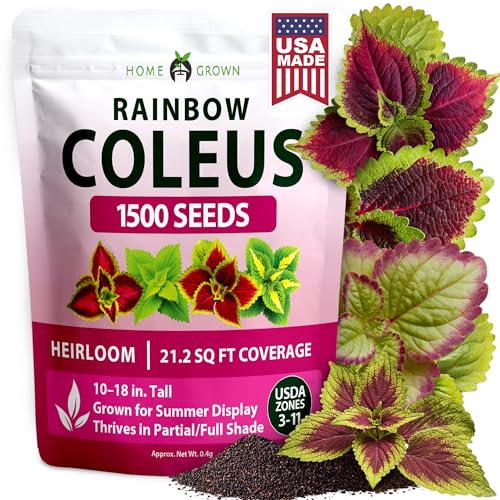 Image of HOME GROWN Coleus Rainbow Seeds for Planting Spring 2026 - 1500 Count (0.04 oz) Plectranthus scutellarioides House Plant Seed, Annual /Perennial Multicolor Foliage Indoor & Shade Garden Flower Seeds