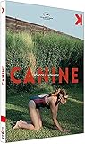 Canine