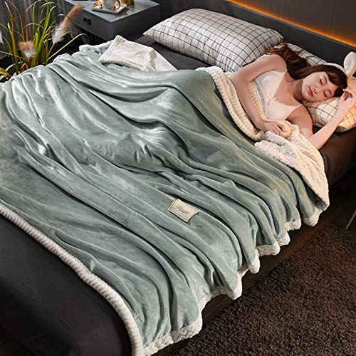 SCTX ブランケット 毛布 掛けふとん ダブル 柄12 もうふ 2枚合わせ リバーシブル 冬 布団を包める 180*200 暖かお布団になる 静電気防止 洗える 掛け布団 加重毛布 加重ブランケット 不眠症対策 快適な睡眠環境 快眠 ストレス解消