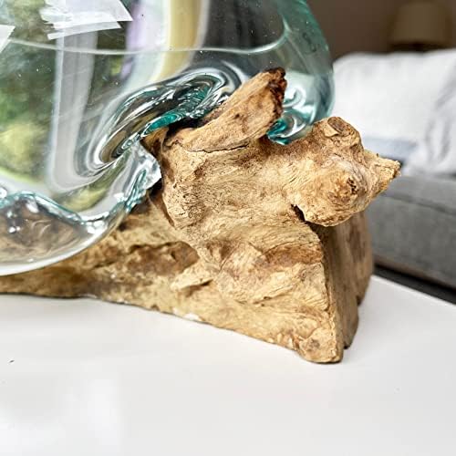 Darthome Molten 20cm Fruit Bowl On Teak Root Stand Glass Rustic Wood Decorative Sculpture