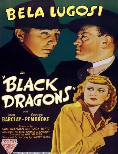 Image of Black Dragons