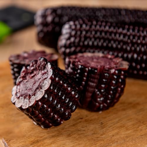 semillas de maiz organicas balcón invernadero, balcón de maíz dulce Comprar de invierno, orgánicas, 25pcs
