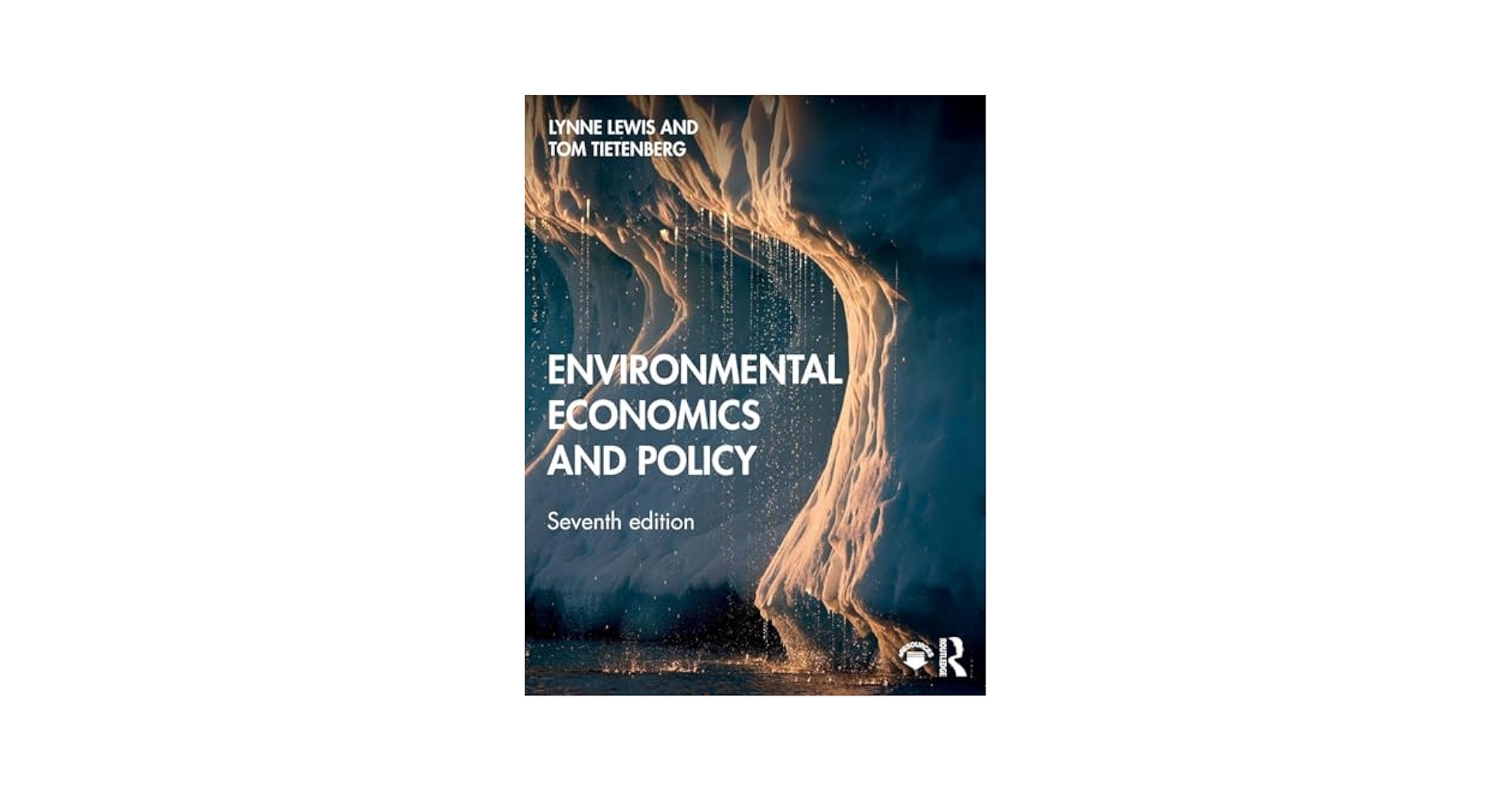 洋書 Topics in Environmental Economics 978-3-030-16268-9.jpg