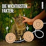 alphazoo Zeck-Attack Anti Zecken Spray für Hunde, Katzen & Pferde 500ml I Natürliches Mittel gegen Zecken mit Sofortwirkung I Langzeit Zecken Schutz