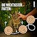 alphazoo Zeck-Attack Anti Zecken Spray für Hunde, Katzen & Pferde 500ml I Natürliches Mittel gegen Zecken mit Sofortwirkung I Langzeit Zecken Schutz