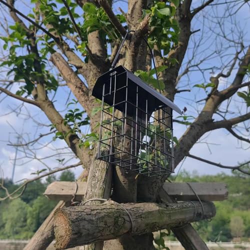 Mangeoire à oiseaux en métal suspendue extérieure pour graines