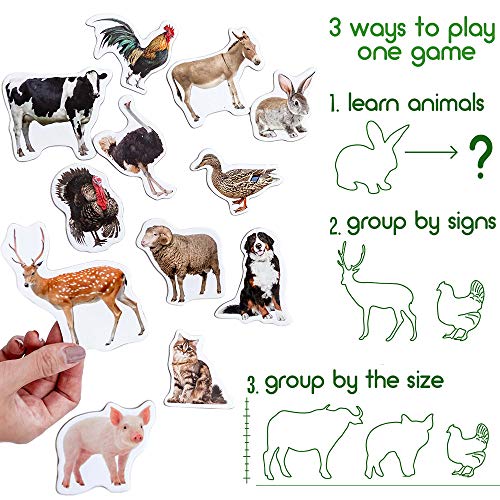Magdum Farm Photo Fridge Magnets For Toddlers Animal Magnets - Large Kids Magnets - Fridge Magnets For Kids Refrigerator Magnets For Kids Baby Magnets Kid Magnets -Magnetic Toys Toddler Toys Baby Toys #TOP3
